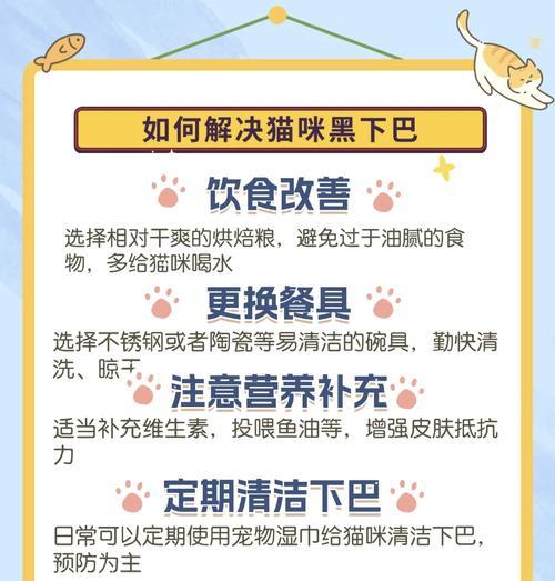 猫咪猫粮烂下巴如何处理？预防措施有哪些？