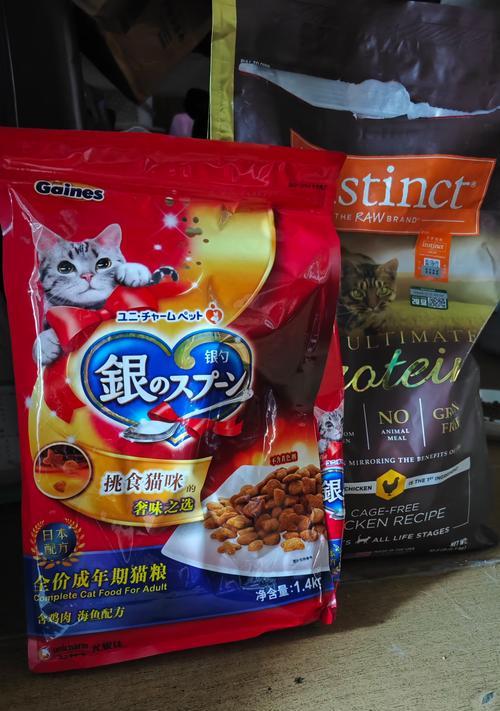 猫咪为什么不愿意吃手里的猫粮？如何提高猫咪的食欲？