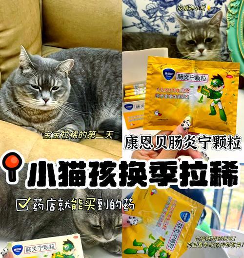 幼猫吃受潮猫粮导致拉稀如何处理？预防措施有哪些？