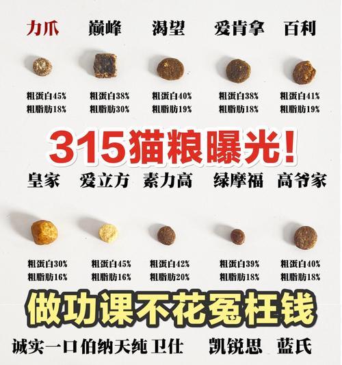自制猫粮蒸不熟的原因是什么？如何确保熟透？