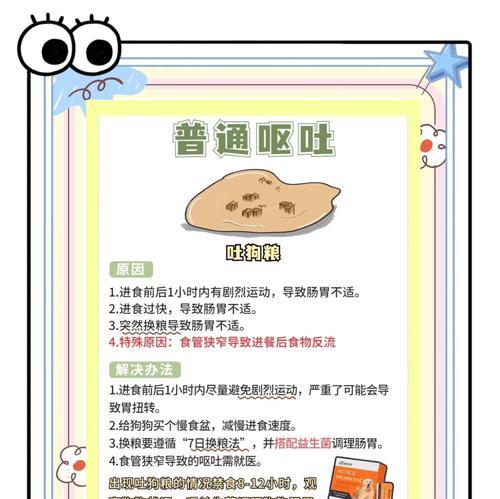 狗狗频繁吐粮是什么原因？如何有效解决？