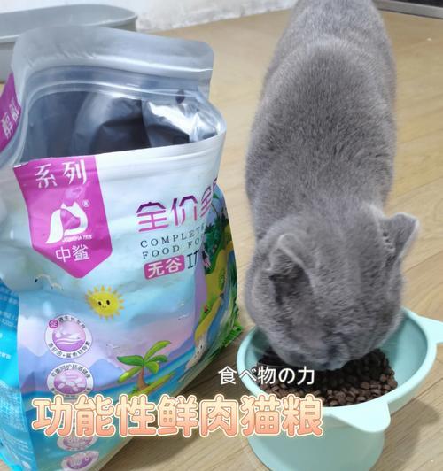 折耳猫为何食量大？如何合理喂食？