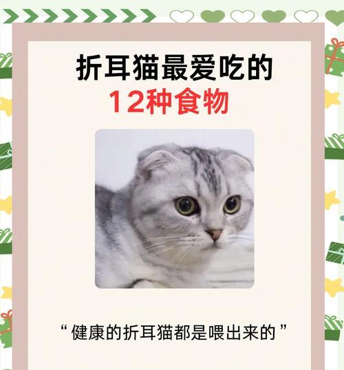 折耳猫为何食量大？如何合理喂食？