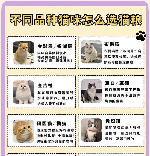 三半月龄小猫适宜的猫粮是什么？如何挑选合适的猫粮？