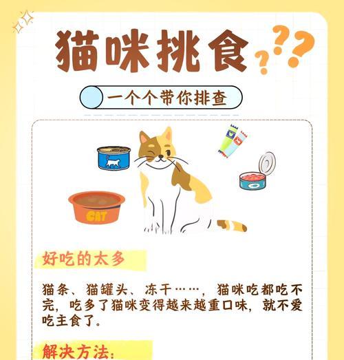 猫咪不爱吃猫粮怎么办？
