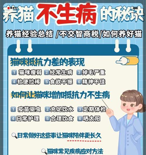猫粮难消化怎么办？加什么能帮助消化？