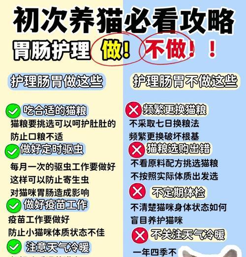 猫粮难消化怎么办？加什么能帮助消化？