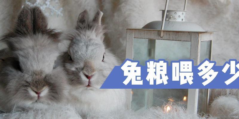 兔粮和水混合喂猫的方法是什么？