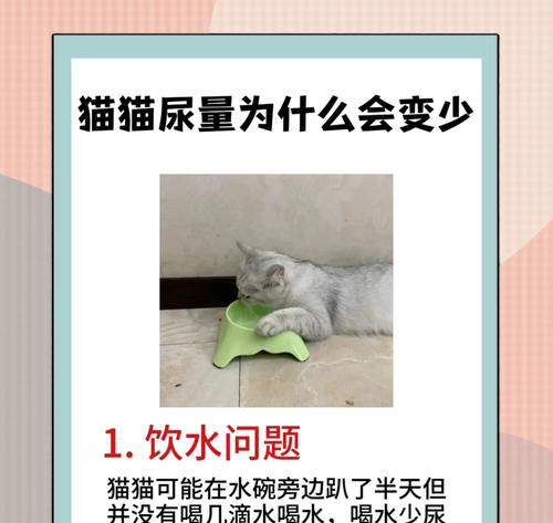 猫尿频繁是猫粮问题吗？如何解决？