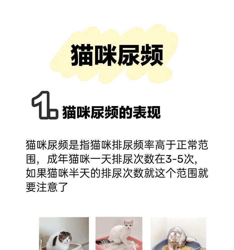 猫尿频繁是猫粮问题吗？如何解决？