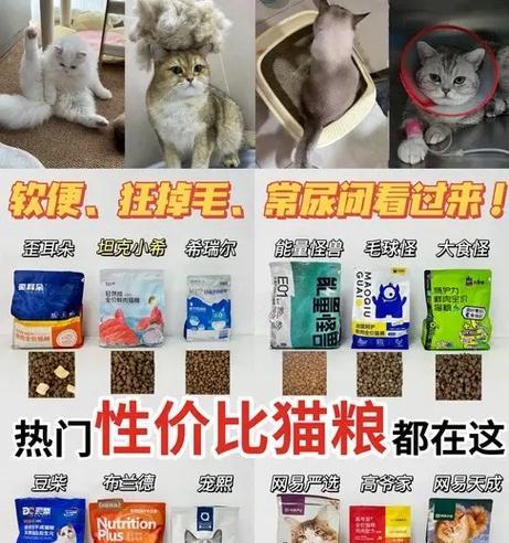 猫尿频繁是猫粮问题吗？如何解决？