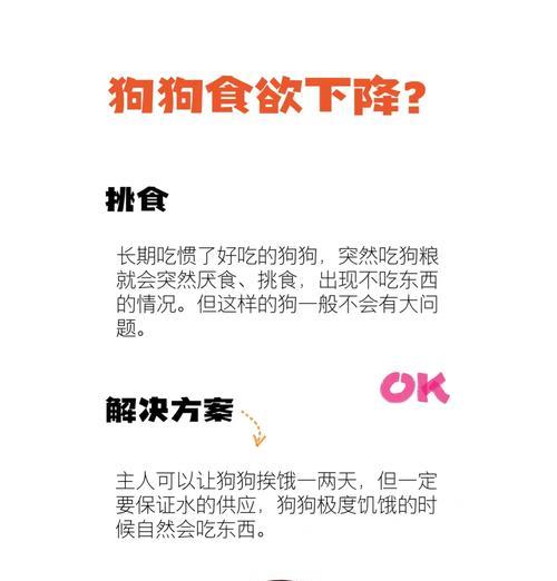 狗狗偏食狗粮且排斥其他食物的原因及解决方法是什么？