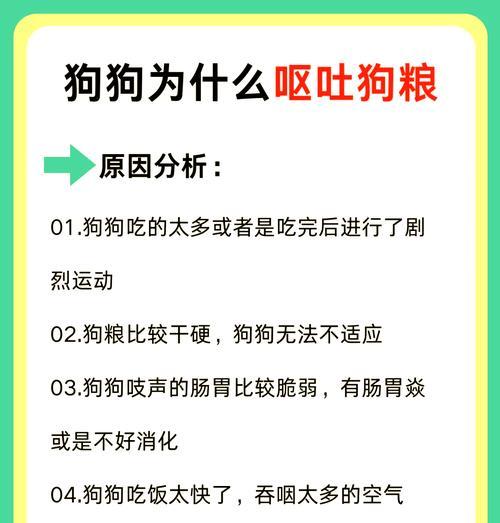 狗狗偏食狗粮且排斥其他食物的原因及解决方法是什么？