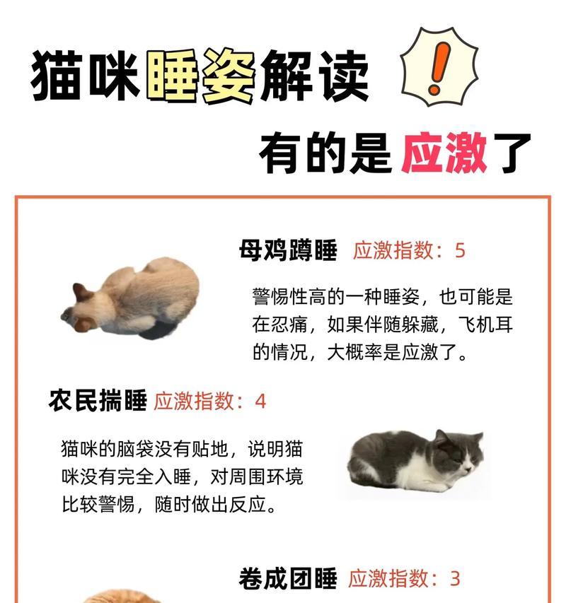 猫在猫粮上睡觉为何会叫？