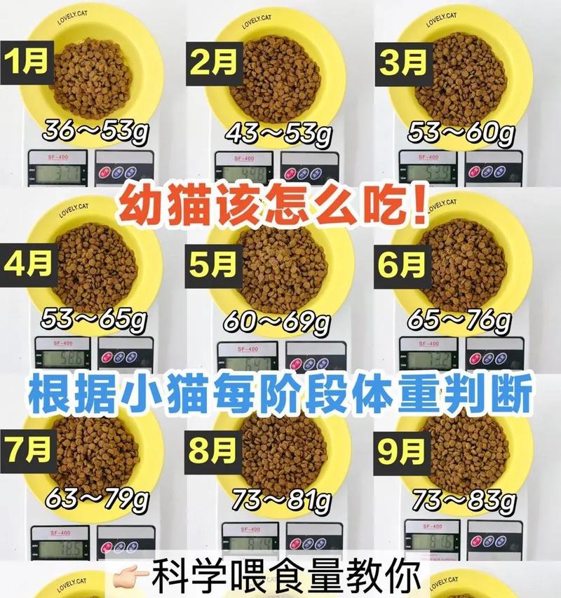 猫粮应该在什么时候收走？如何判断猫咪是否吃饱？