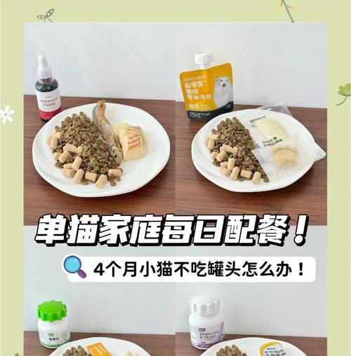 猫咪只爱吃罐头不吃猫粮怎么办？如何调整饮食习惯？