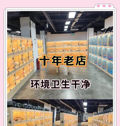 佛山宠物店买猫的月费用是多少？
