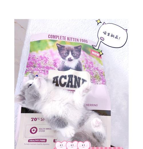 爱肯拿猫粮为何不易消化？
