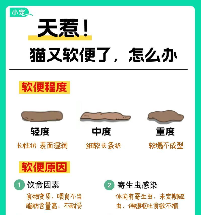 吃太多猫粮的猫软便怎么回事