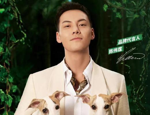 哪个品牌猫粮有明星代言？