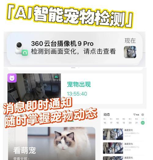 猫粮盒中的摄像头有何作用？如何正确使用？