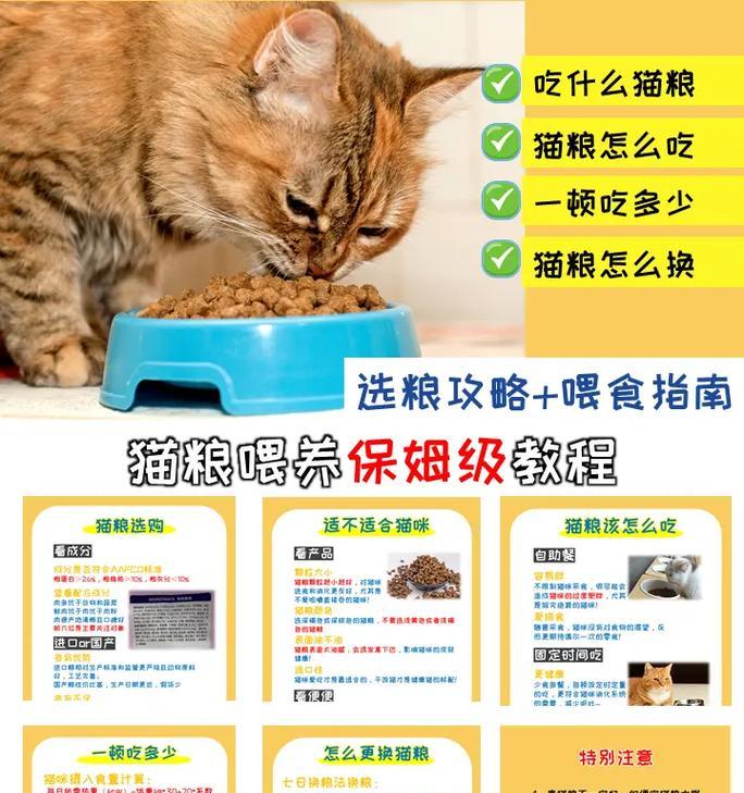 有猫粮自己偷吃的吗怎么处理？如何防止猫粮被偷吃？