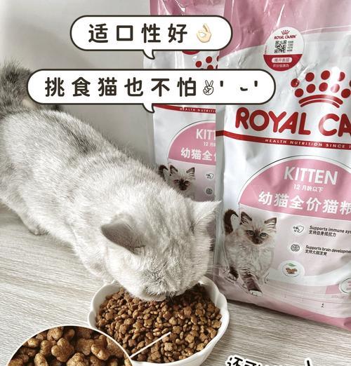 金谷猫粮评测怎么样啊？这个品牌的产品质量如何？