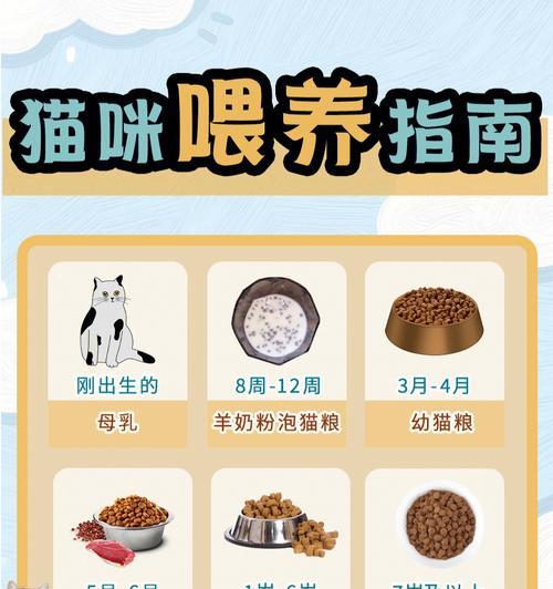 幼猫湿猫粮的正确喂食方法是什么？