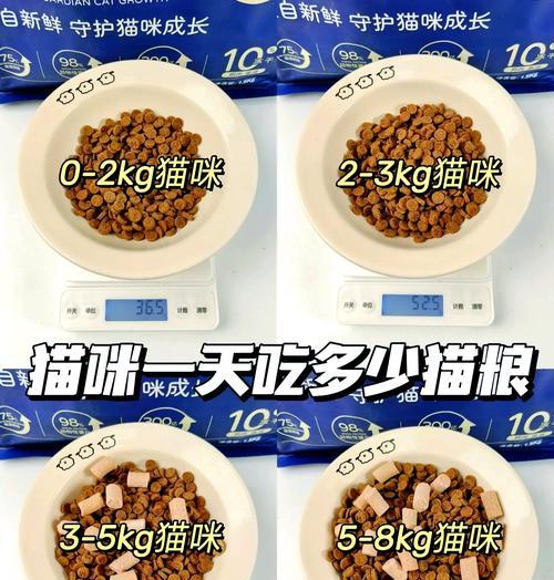 小猫适合全介猫粮吗？正确的喂食方法是什么？
