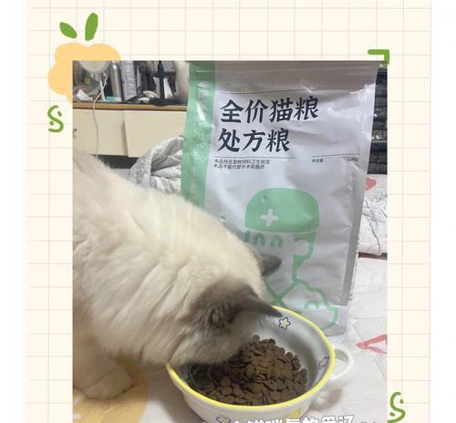 母猫结石适合吃哪种猫粮？
