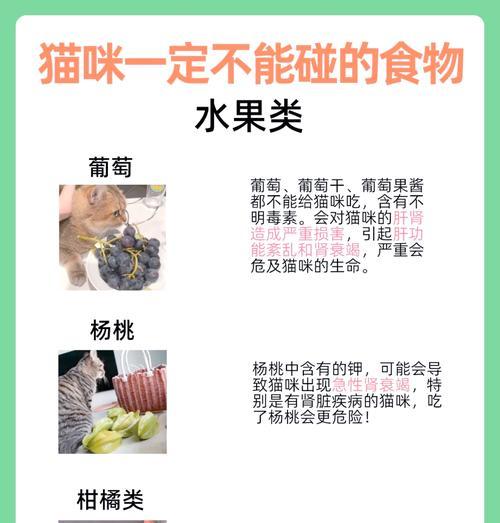 猫食虾后拒食猫粮的原因是什么？