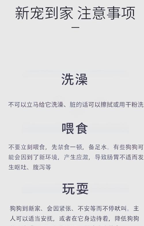 德牧的工作证办理费用是多少？需要多长时间？
