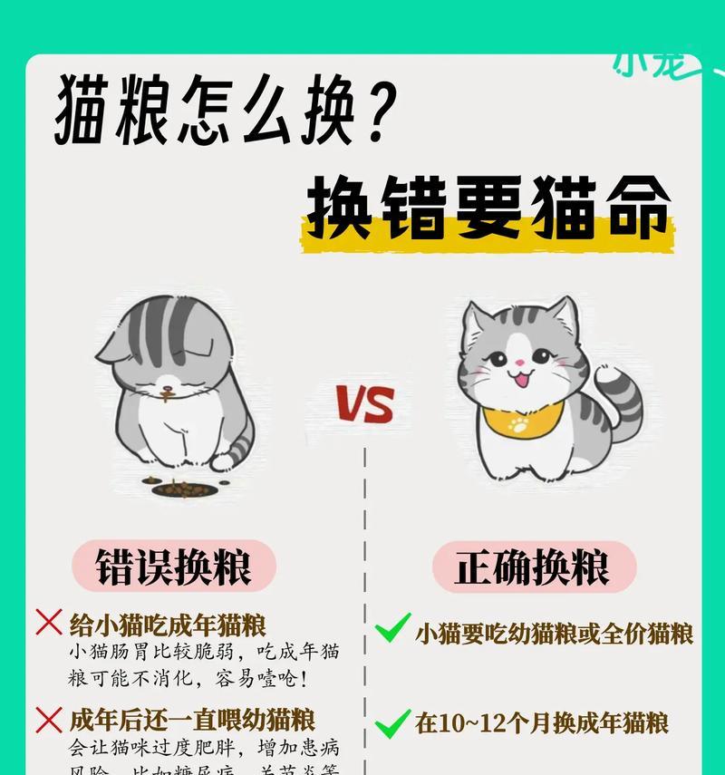 新猫什么时候换猫粮最好？换粮过程中需要注意什么？