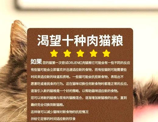 新猫什么时候换猫粮最好？换粮过程中需要注意什么？