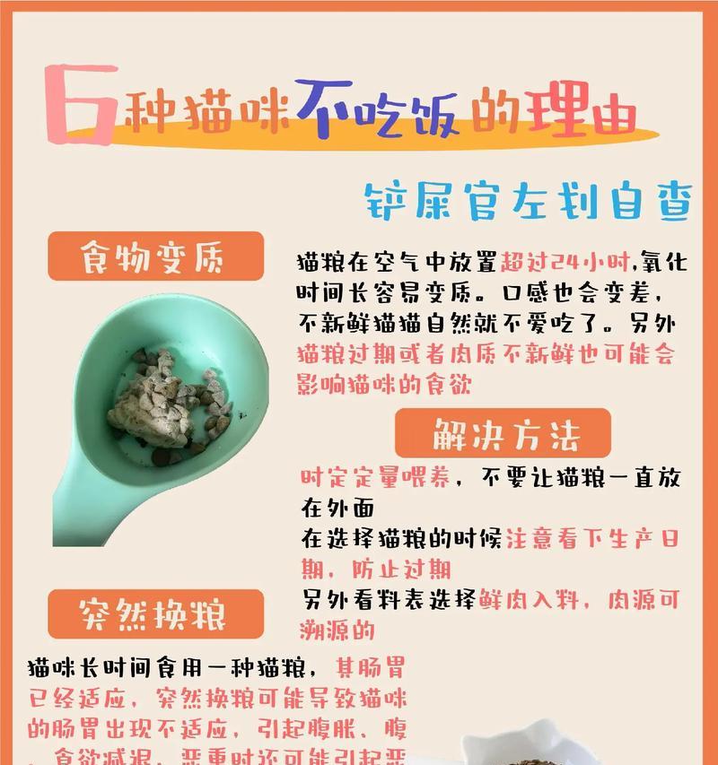 哪些猫咪可以不吃猫粮？不吃猫粮的猫咪有哪些？