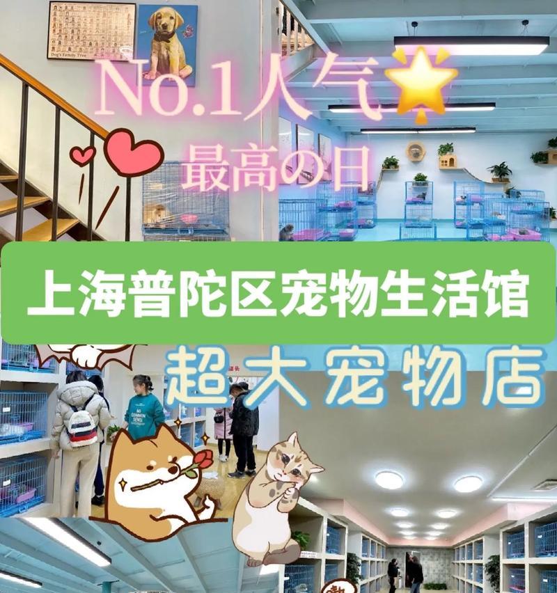 在上海喂猫粮被抓的地点叫什么？如何避免违规？