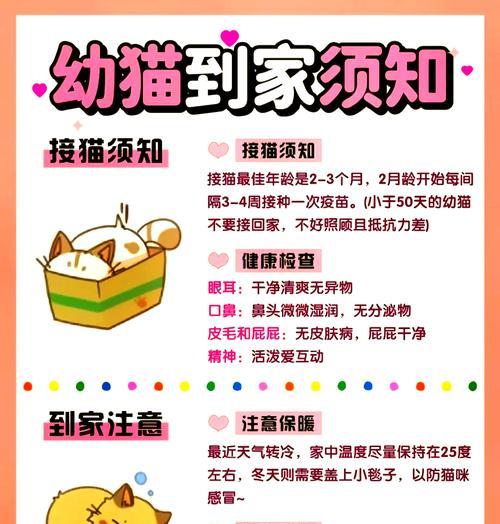 出远门时如何正确留置猫粮和水？有哪些注意事项？