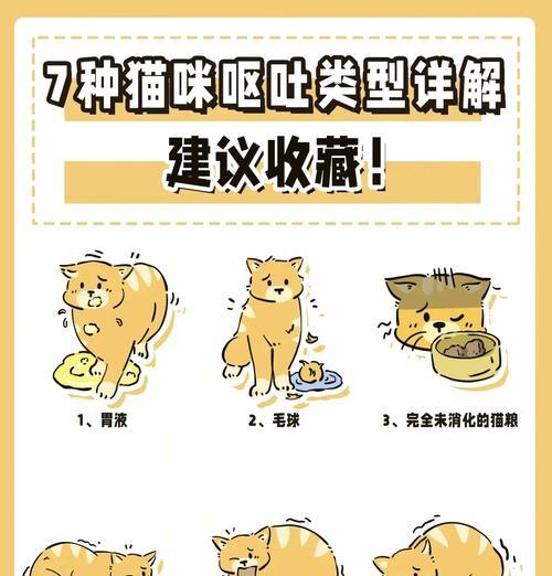 猫粮味道导致呕吐应如何处理？