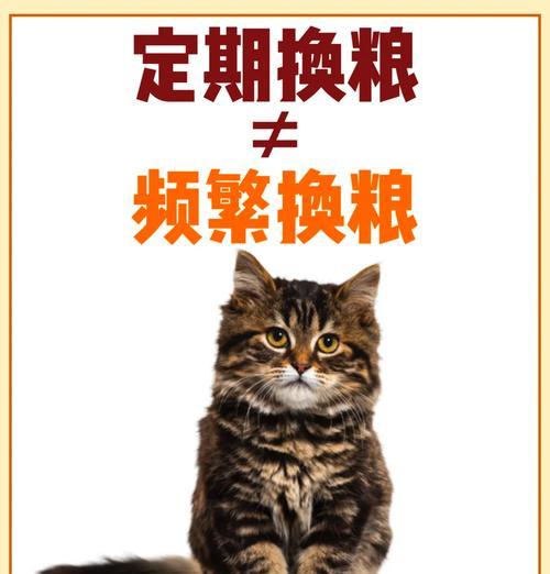 猫不吃换猫粮怎么办呢？猫咪拒绝新猫粮的解决策略？