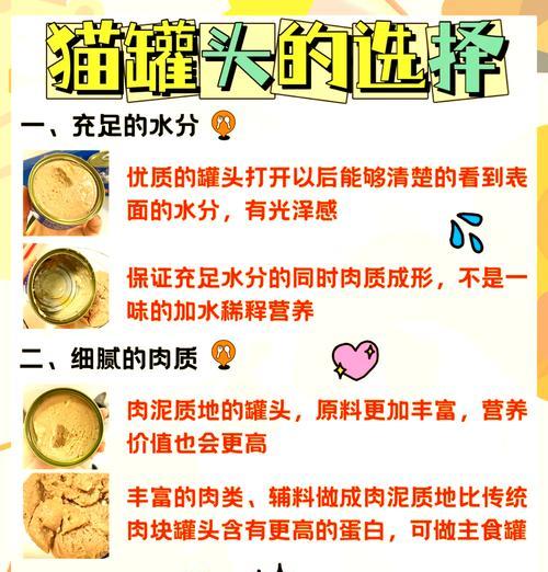 小猫为何在猫粮中排泄？这是消化问题的信号吗？
