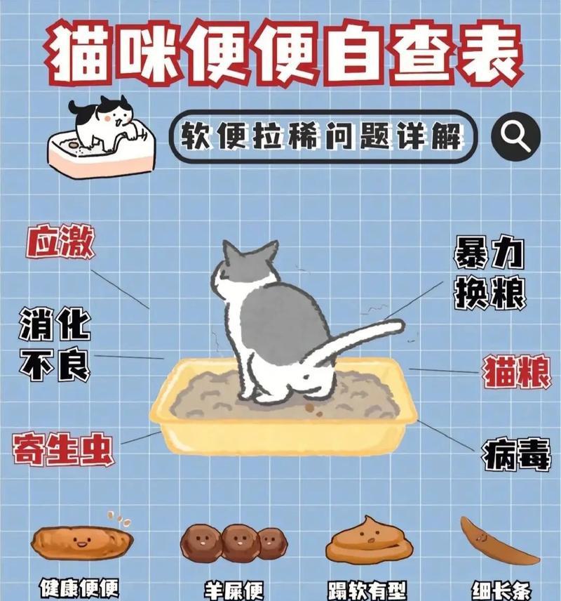 小猫为何在猫粮中排泄？这是消化问题的信号吗？