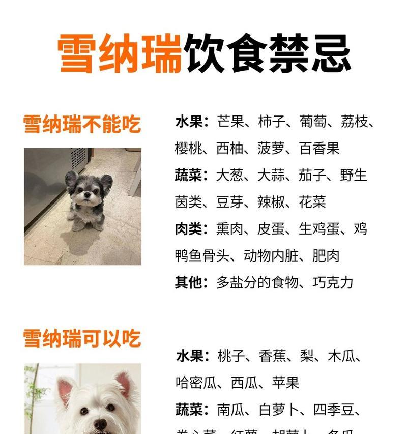 成都雪纳瑞狗舍价格是多少？如何挑选合适的狗舍？