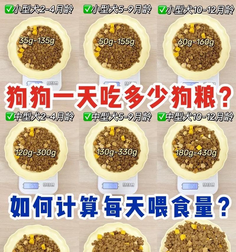 德牧每天应该喂多少克粮食？如何计算德牧的喂食量？