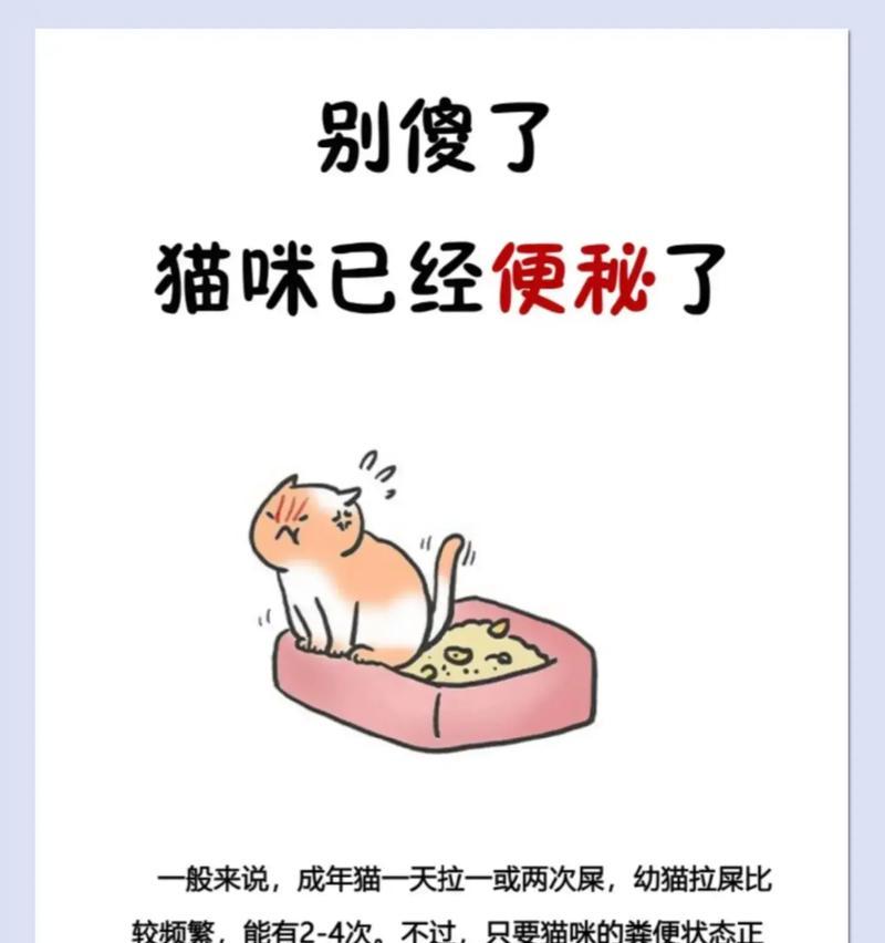 猫粮过量会导致猫咪便秘吗？