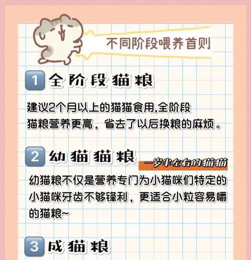 不同成长阶段的猫应选择哪种猫粮？