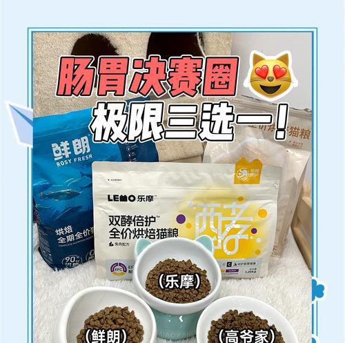肠胃不好的小猫还能吃猫粮吗？有哪些适合的猫粮推荐？