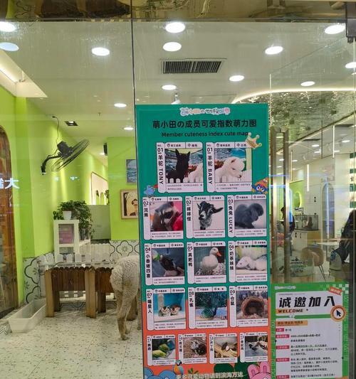羊驼馆宠物店体验如何？价格范围是多少？
