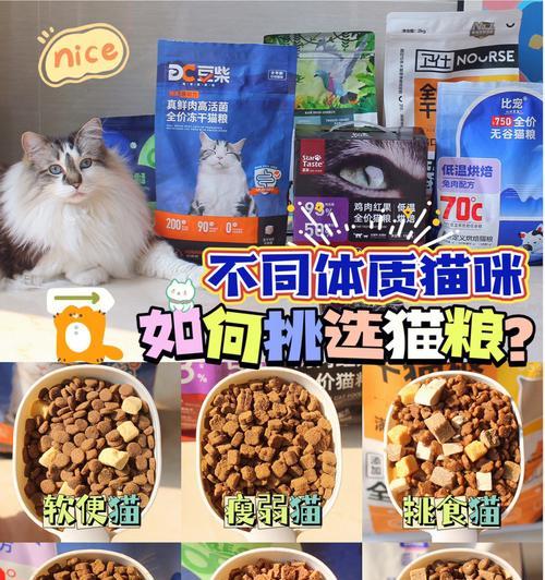 便宜猫粮为何不受欢迎？猫咪为何拒绝进食？