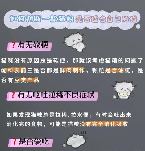 猫被大量猫粮砸到怎么办？如何确保猫咪安全？
