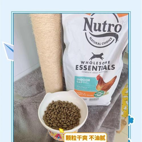 猫被大量猫粮砸到怎么办？如何确保猫咪安全？